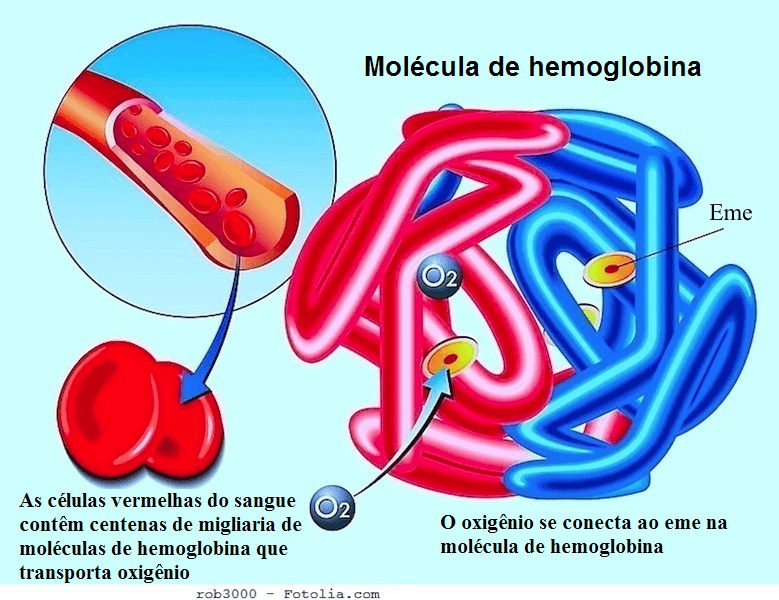 Hemoglobina alta, baixa, glóbulos vermelhos