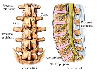 Anatomia,da,coluna,vertebral,lombar