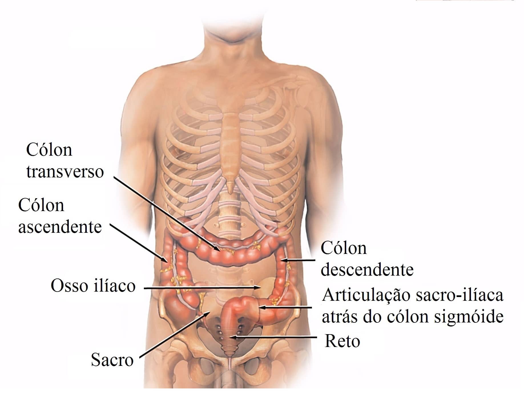Lado derecho del abdomen inflamado