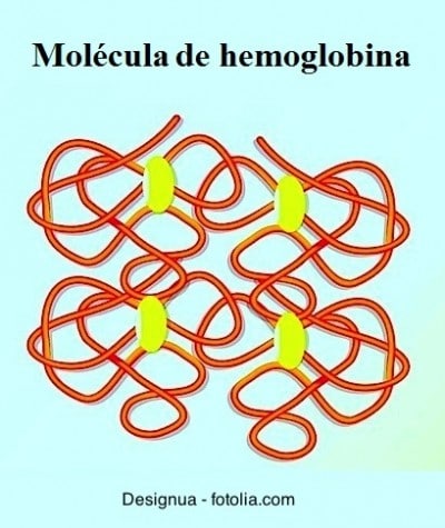 Hemoglobina baixa