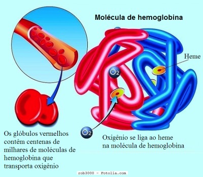 Hemoglobina alta, baixa, glóbulos vermelhos