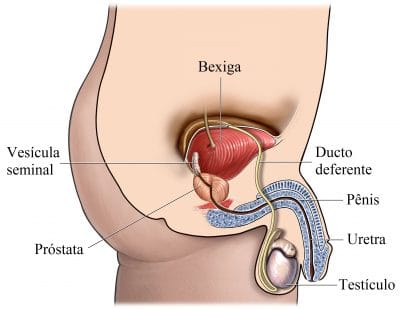 Prostata adenoma mediano, Dolor en el vientre izquierdo al respirar