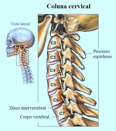 coluna,vertebral,cervical,ou pescoço