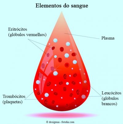 Glóbulos brancos, vermelhos, plaquetas, sangue