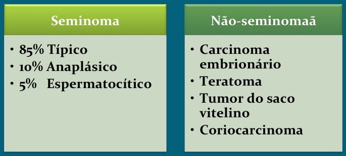 seminoma, nao-seminoma, Câncer testículo