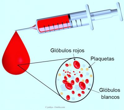 glóbulos rojos, glóbulos blancos, plaquetas