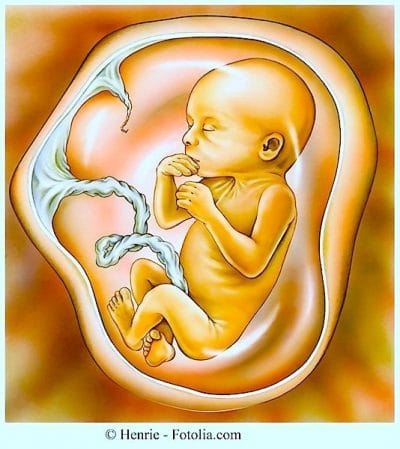 Contracciones durante el embarazo, feto, bebé, embarazada